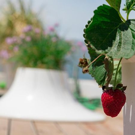 Dreamy Aegean View Apartment Athens Ngoại thất bức ảnh